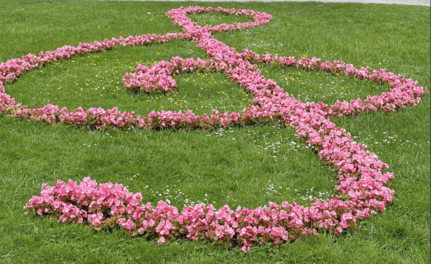 Bildschirmfoto 2024-06-04 um 14.23.38